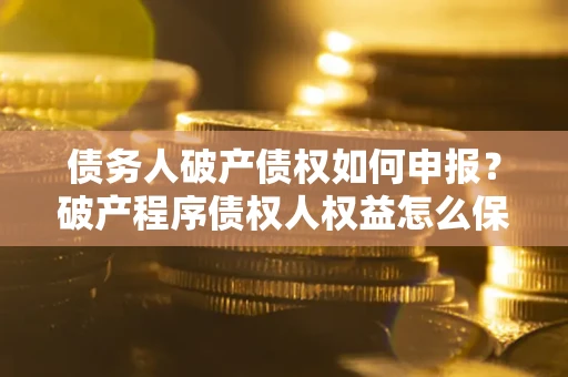 北京债务人破产债权如何申报？破产程序债权人权益怎么保障？