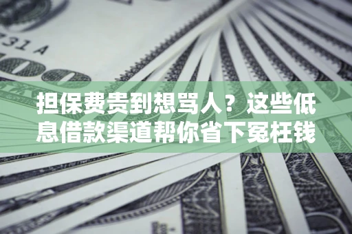 北京担保费贵到想骂人？这些低息借款渠道帮你省下冤枉钱