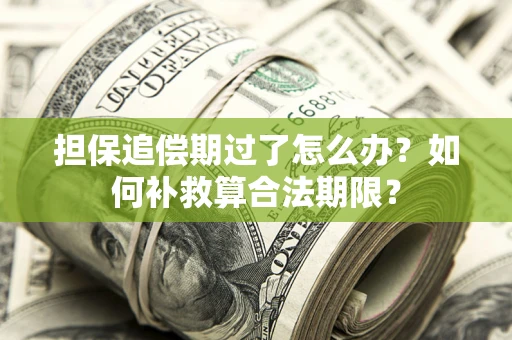 北京担保追偿期过了怎么办？如何补救算合法期限？