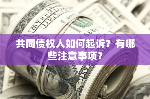 北京共同债权人如何起诉？有哪些注意事项？